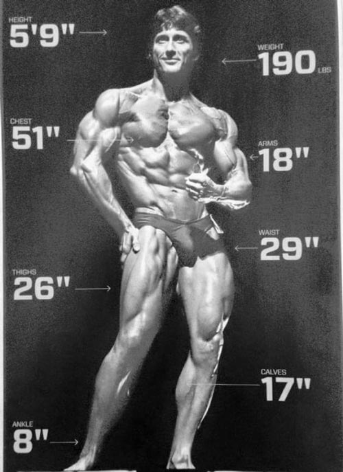 Medidas de frank zane