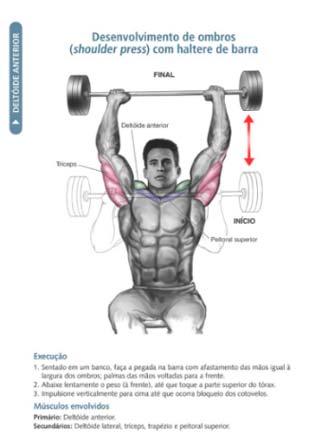 Desenvolvimento para ombros com barra. Imagem ilustrada do livro: Anatomia da Musculação