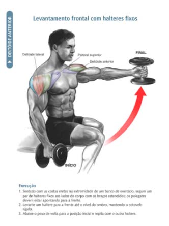 Elevação frontal com halteres Imagem ilustrada do livro: Anatomia da Musculação