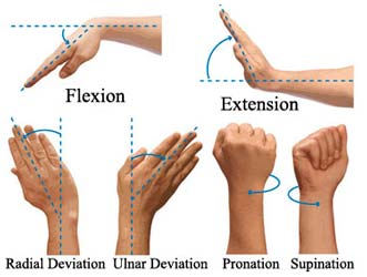Movimentos do pulso