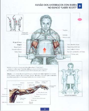 Ilustração do exercício rosca scott, retirado do livro: Movimentos da Musculação
