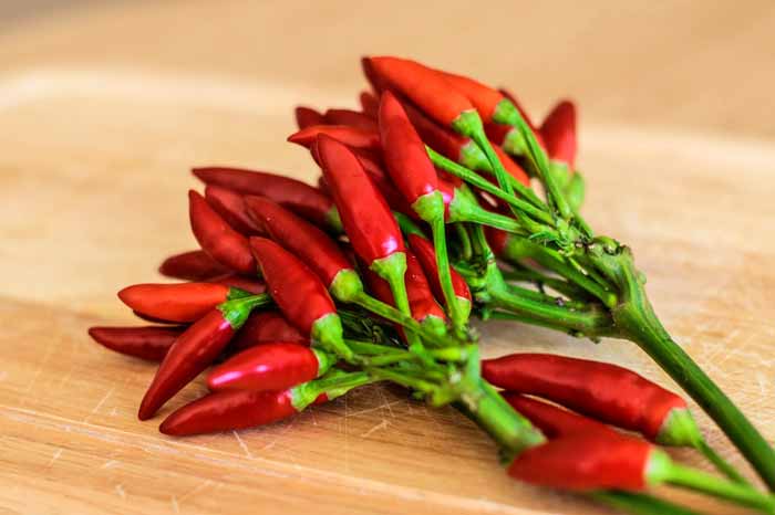 Pimenta Chilli