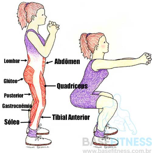 Músculos envolvidos no agachamento isométrico