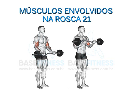 Músculos envolvidos na rosca 21