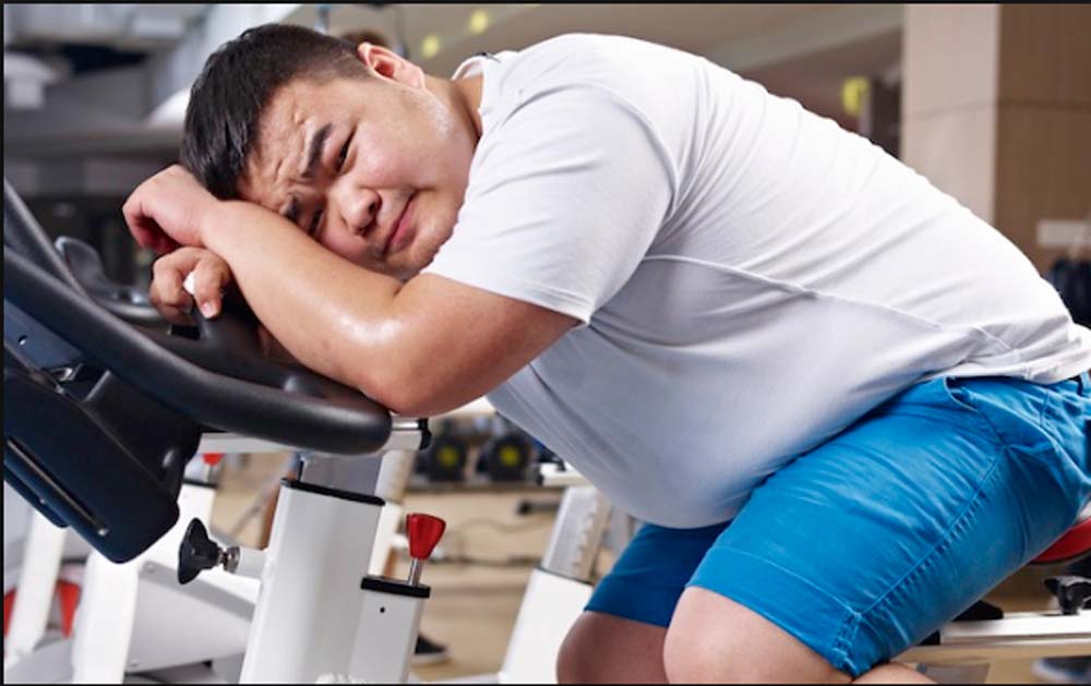 Endomorfo como descobrir? Veja o significado e características Endomorfo como descobrir? Veja o significado e características