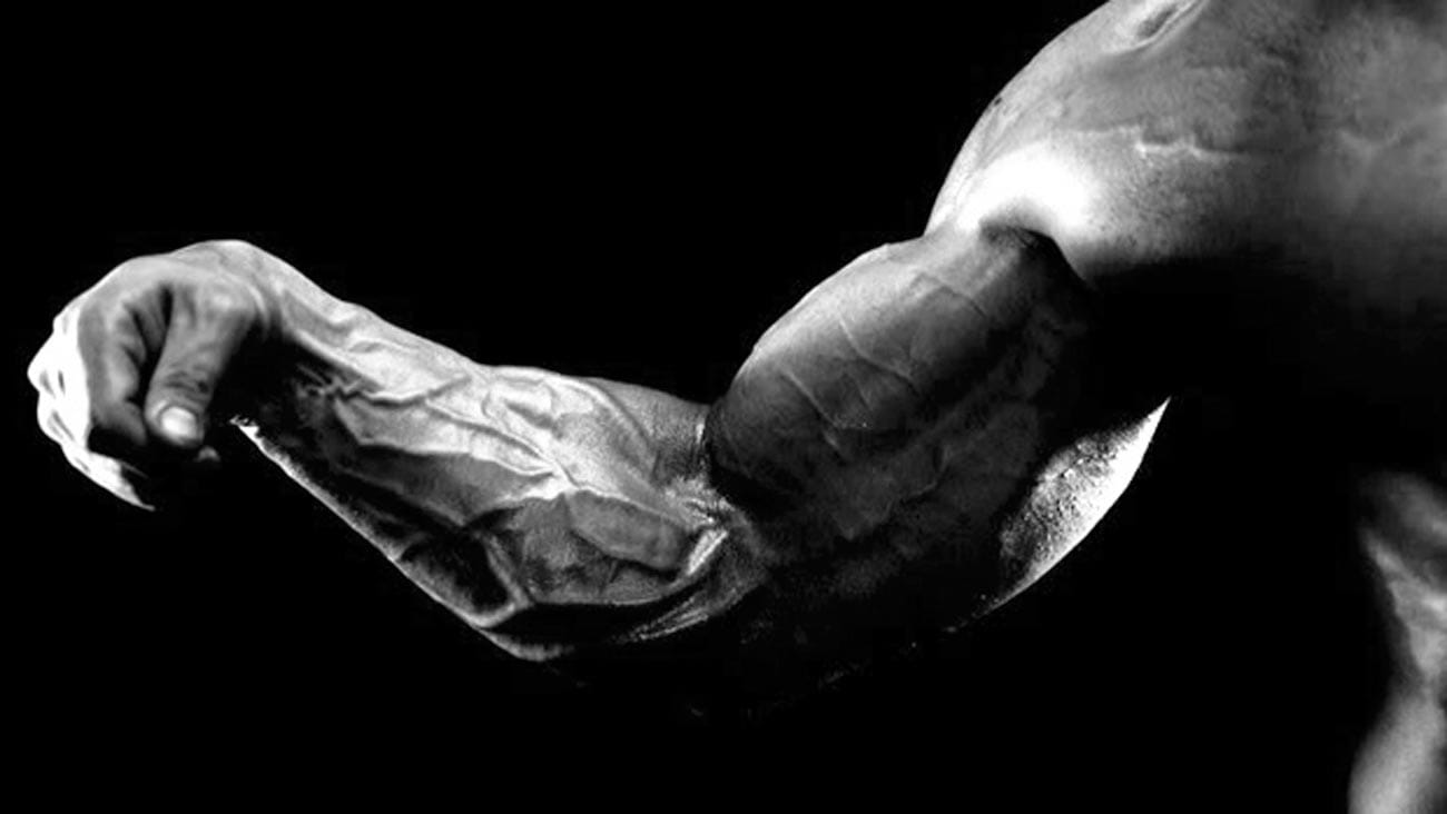 Treino para Antebraços Gigantes: Exercícios e Dicas