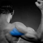 Os Melhores Exercícios para Deltoides Posteriores exercicios-para-deltoide-posterior