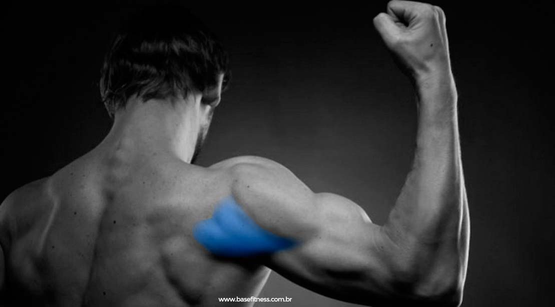 Os Melhores Exercícios para Deltoides Posteriores exercicios-para-deltoide-posterior