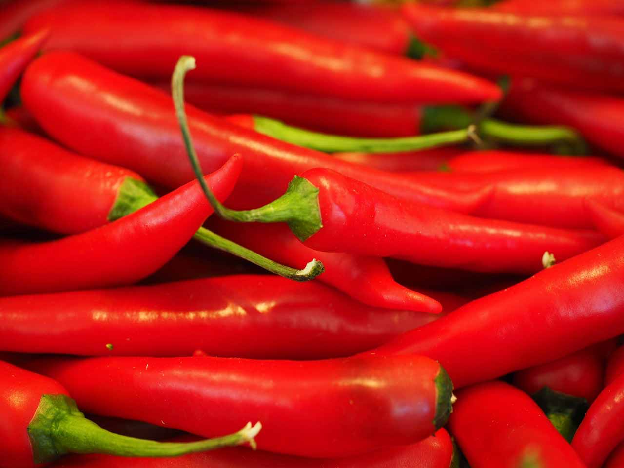 capsaicina-para-que-serve Capsaicina para que serve