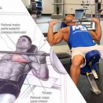 Supino Inclinado: Execução Certa e Mais Eficaz Supino inclinado