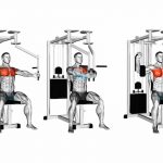 Voador/Peck Deck (Fly): Execução Correta e Músculos Trabalhados Peck Deck ou Voador. Execução Correta