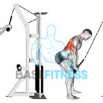 Pulldown para Costas: Como Fazer e Músculos Envolvidos Pulldown