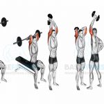 Rosca Francesa: Execução Correta Para Tríceps Gigantes! rosca francesa