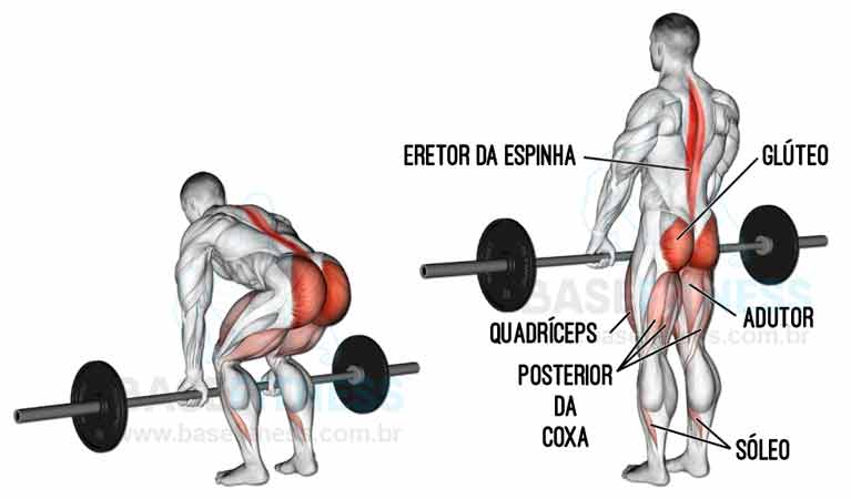 Levantamento terra ou peso morto (deadlift): As 10 melhores variações -  MYPROTEIN™