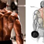 Exercícios Para Trapézio: Os Melhores e Como Treiná-lo Encolhimento para trapézio realizado com halteres e foto cuja demonstra os músculos trabalhados