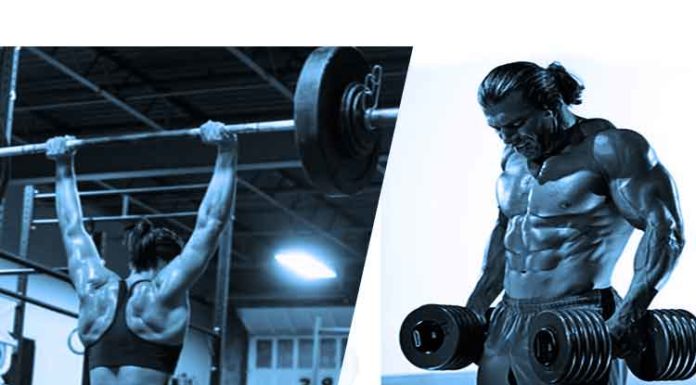 Treino Pesado de Ombro e Trapézio: Garanta Hipertrofia Rápida! Desenvolvimento com barra e encolhimento com halteres