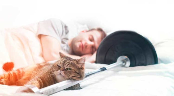 Por que O Sono Anabólico É Vital A Hipertrofia? Homem dormindo em quanto malha, simbolizando o sono anabólico