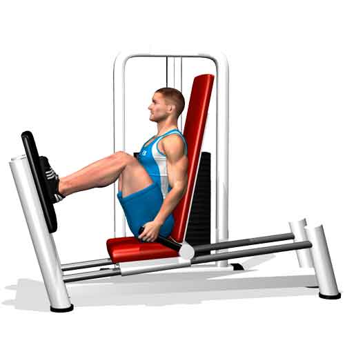 Leg press horizontal