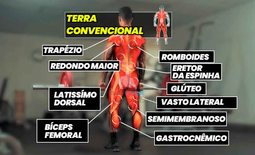 Músculos trabalhados no levantamento terra