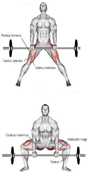 Levantamento terra sumo x agachamento sumo com barra DIFERENÇAS #con