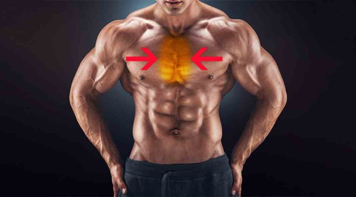 Como Desenvolver o Miolo do Peito: Exercícios e Treinos Capa miolo do peitoral