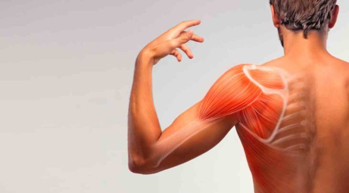 Como Alongar os Ombros? 7 Melhores Exercícios Para Destravá-los! alongamentos para os ombros capa do post