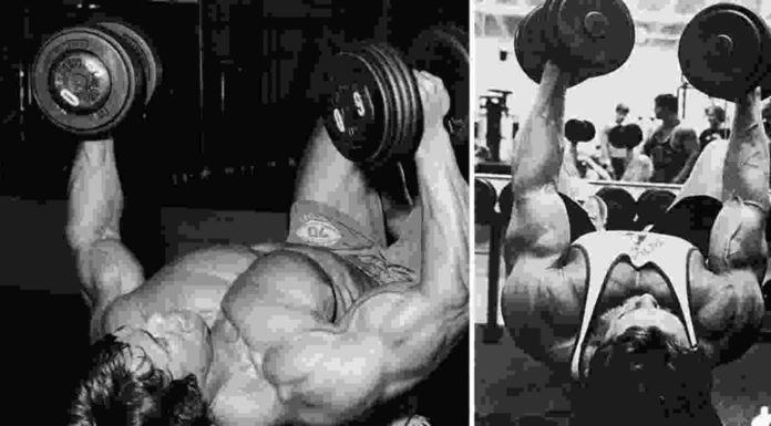 Crucifixo Com Halteres: Guia de Execução e Dicas Crucifixo com halteres capa