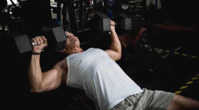 Supino inclinado com halteres: como fazer, músculos utilizados e dicas Supino inclinado com halter