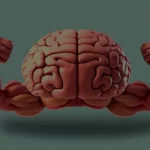 Memória Muscular: o que é, como funciona e como recuperar seus ganhos Memória muscular