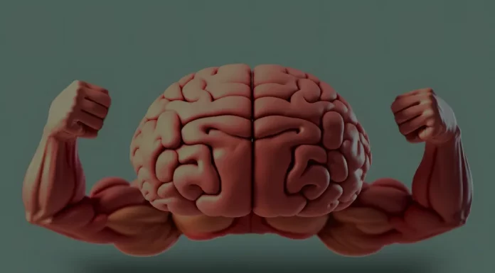 Memória Muscular: o que é, como funciona e como recuperar seus ganhos Memória muscular