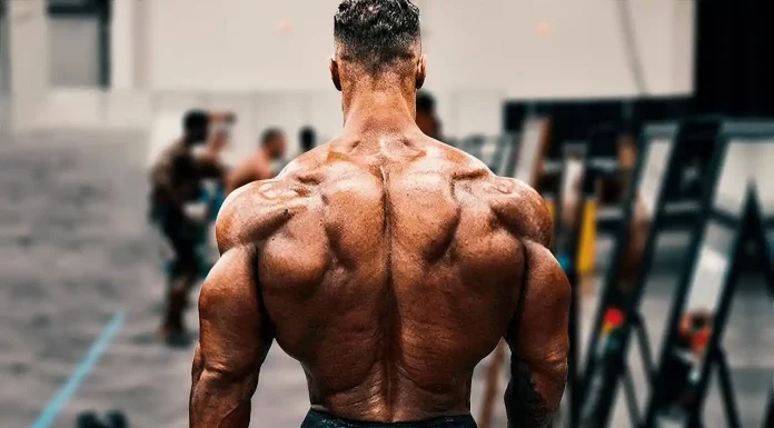 O que treinar junto com costas: combinações eficientes para mais resultados costas do chris bumstead