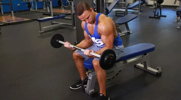 Rosca Punho: Execução correta, músculos trabalhados e 5 variações Rosca punho sentado