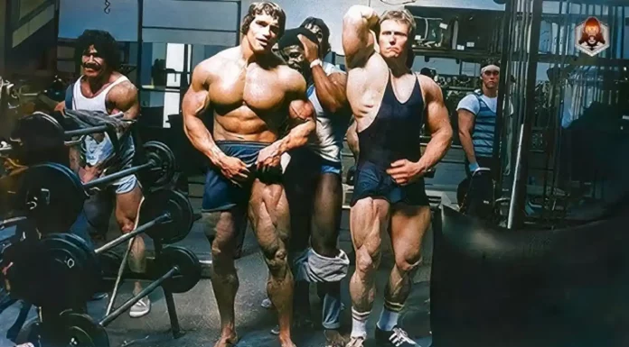 Treino GVT (German Volume Training): O que é e como aplicar no treinos German Volume Training