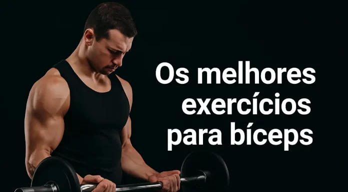 Estudos revelam os melhores exercícios para bíceps, segundo a ciência os melhores exercícios para bíceps