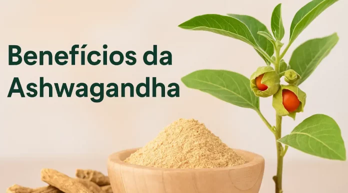 Benefícios da Ashwagandha: o que a ciência realmente diz sobre essa planta milenar A Ashwagandha benefícios